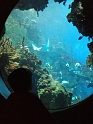 Kids_SeaWorldSA-2013 (108)